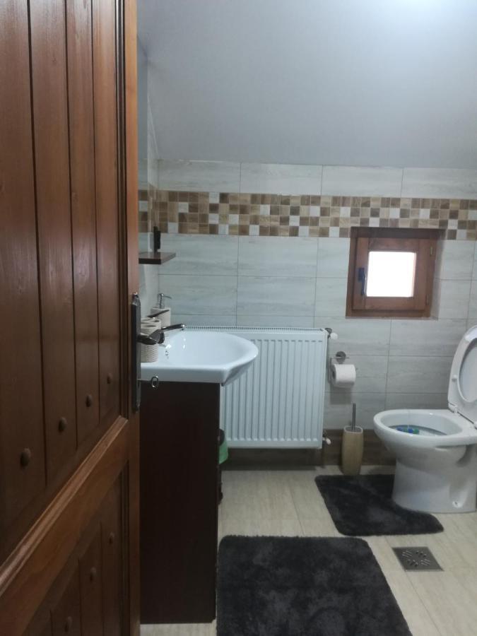 Calinesti  Casa Din Susani מראה חיצוני תמונה