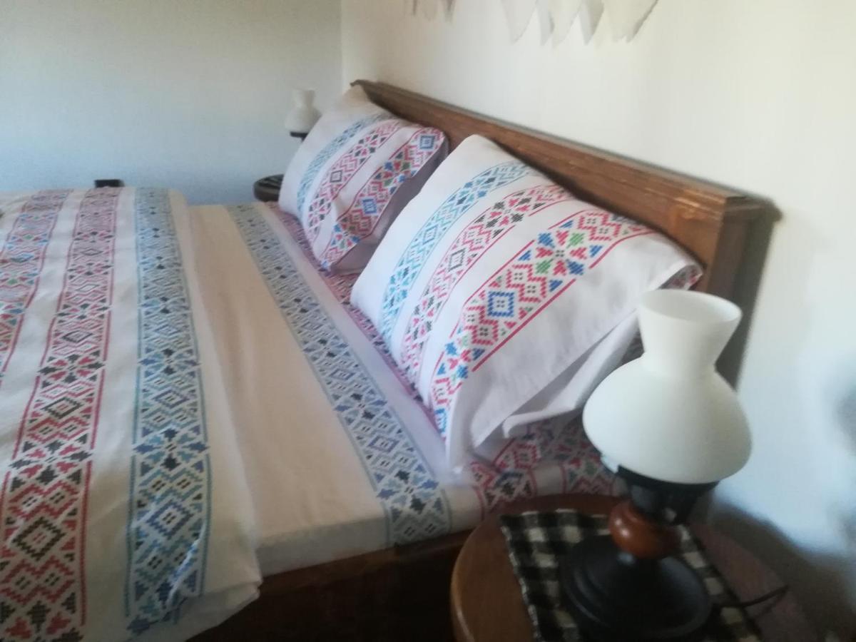 Calinesti  Casa Din Susani מראה חיצוני תמונה